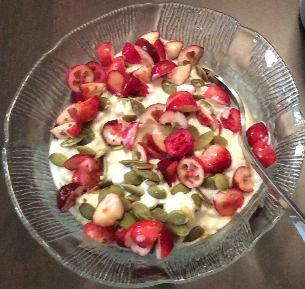 yogurt-cranberries-pumpkin-seeds